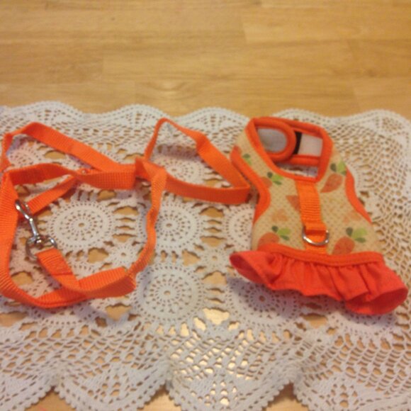 rabbit Harness and Leash, new. Cabbage patch and orange design - Picture 1 of 4